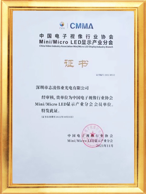 中國電子視像行業協會Mini/Micro LED顯示產業分會會員證書